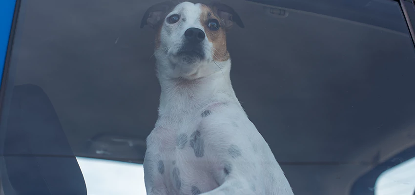 Car Lockout Solutions in Temescal Valley, California